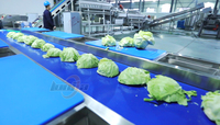Industriële Chicory Groente- en Fruitwasmachine, Verstelbare Spinaziesnijder, Verse Salade Verwerkingslijn