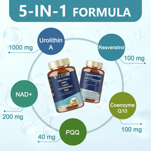 Urolithin A Softgel Supplément pour l'énergie musculaire Antioxydants Vegan Haute Biodisponibilité, Soutient le système immunitaire et les articulations saines - Product Image 2