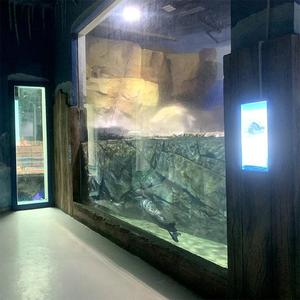 Aquariums et accessoires, <span class=keywords><strong>aquarium</strong></span> sans cadre pour requins, <span class=keywords><strong>aquarium</strong></span> pour méduses - Product Image 5