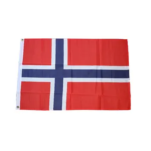 プリントポリエステル鮮やかな色キャンバスヘッダー真鍮グロメット3x5フィートノルウェー国旗