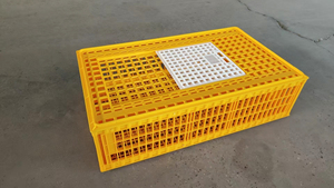 750*550*270mm ağır geri dönüşümlü PP plastik ekran baskılı canlı kuş tavuk güvercin ördek kümes hayvanları için - Product Image 3