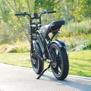 <strong>Cheap</strong> Price Adult 2 Wheel <strong>Electric</strong> <strong>Bike</strong> 350w 48v <strong>Electric</strong> Bicycle <strong>for</strong> <strong>Sale</strong> - Product Image 1