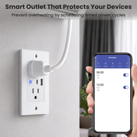 Prise murale intelligente Wifi Tuya Smart Home 16A US multifonction avec prise de charge Type-C + USB, commande vocale et minuterie à distance