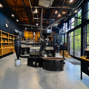 Yoshan เครื่องบดกาแฟ Ys-6kg หนัก120กก. 100กก. ใช้ในอุตสาหกรรมเครื่องคั่วอัจฉริยะขนาด5กก. - Product Image 3