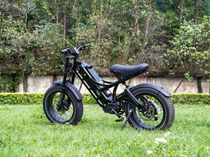 Bicicleta Eléctrica Híbrida Eahora Romeo II Personalizada de 250W 48/52V 60Ah con Llantas Gruesas de 26 Pulgadas y Batería de Litio de Largo Alcance para Adultos - Product Image 6