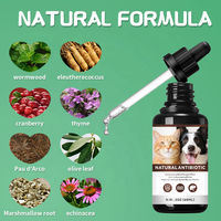Suppléments liquides antibiotiques OEM pour chiens et chats, gouttes antifongiques et anti-inflammatoires personnalisées, liquide immunostimulant pour chiens et chats, fabrication en usine