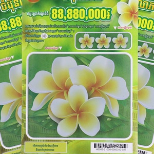 Boletos de Lotería Personalizados en Línea, Boletos de Lotería Rasca y Gana, Diseño Gratuito de Fábrica, Producción de Alta Calidad - Product Image 6