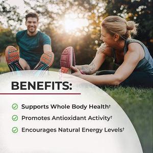 Suplemen Permen Kunyit Organik Vegan Penambah Energi Antioksidan Harga Pabrik OEM Terbaik Laris Manis Logo Kustom Dukungan Kesehatan Olahraga - Product Image 3