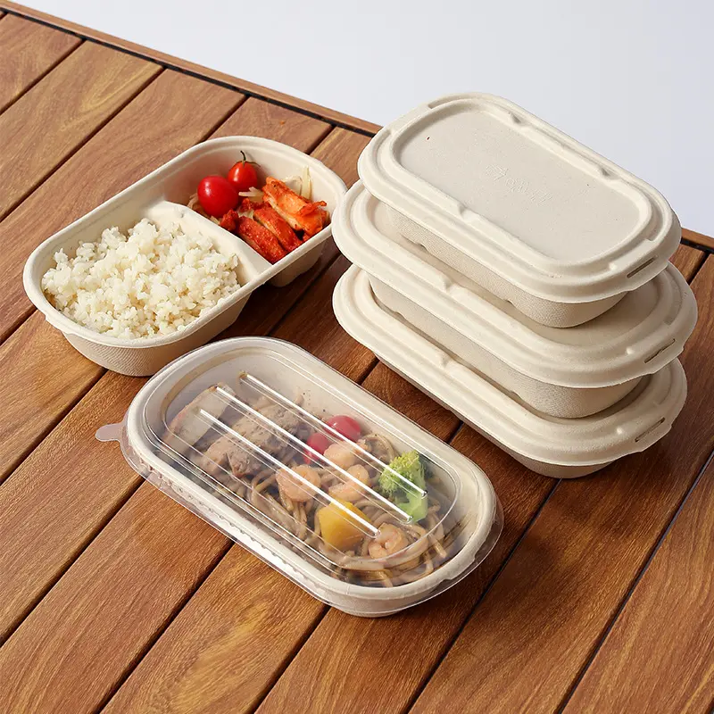disposable biodegradable lunch box take away food container 800ml 1000ml two compartment bento box with lid