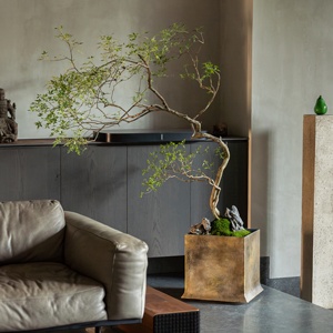 Maceta Cuadrada Grande <span class=keywords><strong>de</strong></span> Fibra <span class=keywords><strong>de</strong></span> Arcilla, Estilo Minimalista Moderno Chino, para Jardín y Hogar, Venta al por Mayor por Super Flowerpot Factory - Product Image 4