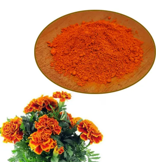 High Quality GMP standard Marigold Extract Zeaxanthin Lutein 10%-98%