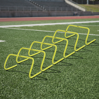 Vallas para Entrenamiento de Agilidad