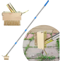 Brosse manuelle anti-mauvaises herbes à long manche pour crevasses, en acier inoxydable, pour l'élimination du mousse et le nettoyage des allées et des voies de circulation.