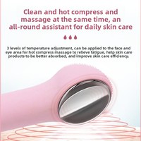 3 Modes Temperature Control Electric Facial Cleansing Instrument Hot Compress Eye Massager