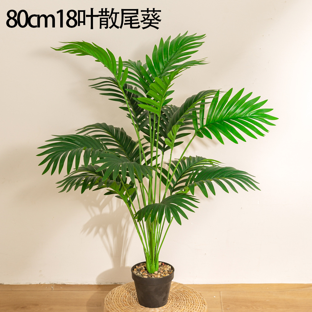 ต้นปาล์มอะเรก้า 80 ซม. 18 ใบ