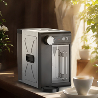 Système de filtration par osmose inverse pour comptoir, usage domestique et camping en plein air, distributeur d'eau chaude instantanée avec filtre purificateur d'eau alcaline LED