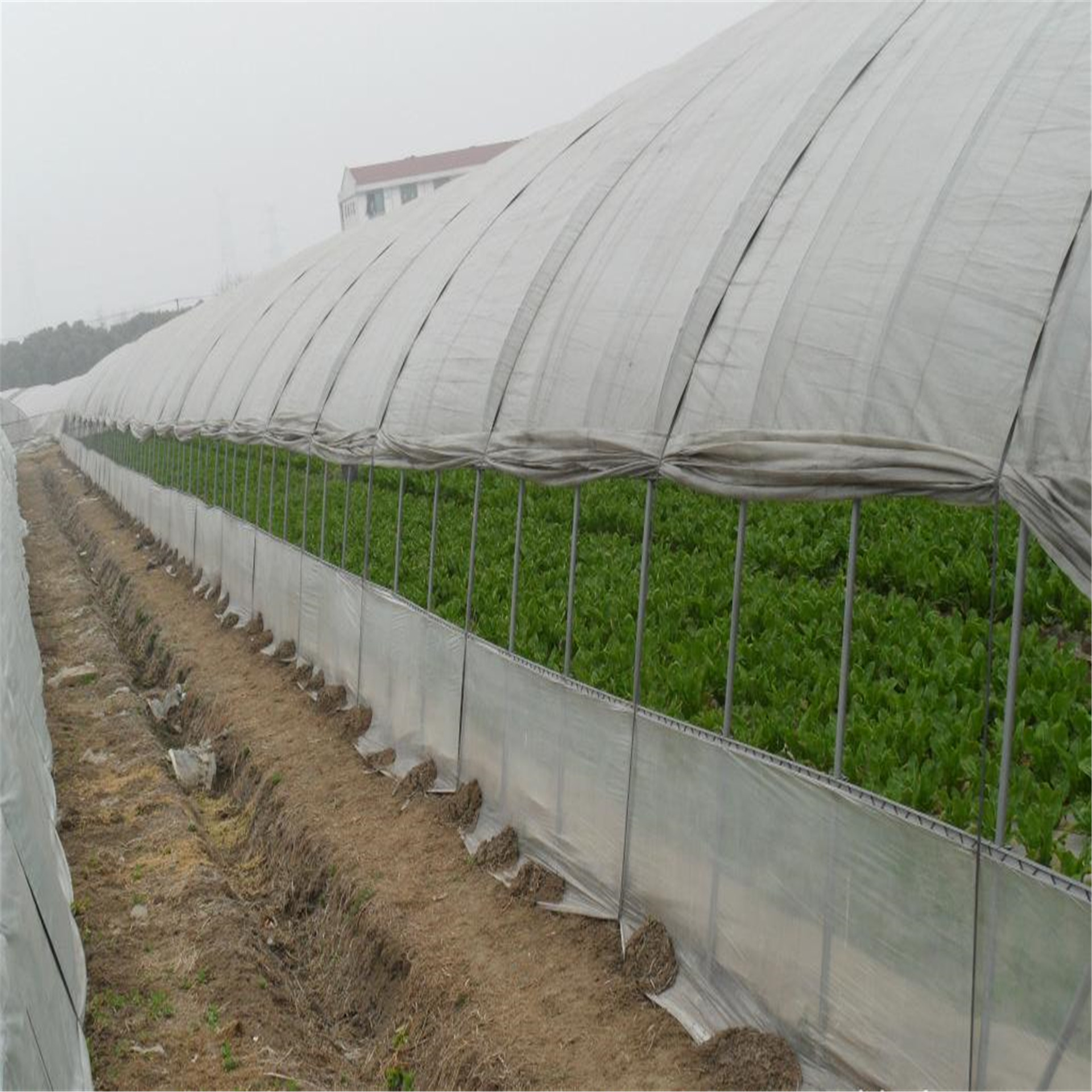 greenhouse temperature control