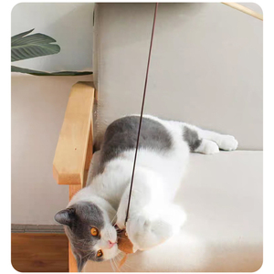 Factory Supply Umwelt freundliche Katze Teaser Stick Lustige interaktive Holz Haustier Spielzeug für Kätzchen Teaser Feder spielzeug - Product Image 2