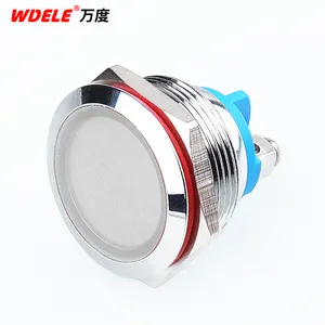 22mm Metal Indicator Light LED Metal Signal Light With Wire Emitting Red Green Blue Yellow White 24V220V