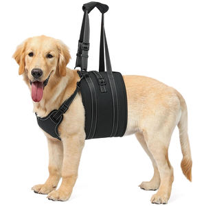 Harnais de levage pour chien, pour chiens âgés ou handicapés, arthrite, blessures articulaires, soutien à la rééducation, aide à la marche, harnais de levage pour animaux de compagnie - Product Image 1