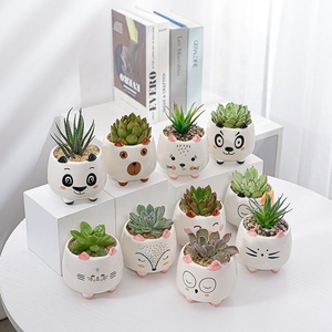 Décoration d'intérieur de style nordique simple, cadeaux de Noël et d'anniversaire, pots de plantes, pots à fleurs - Product Image 1