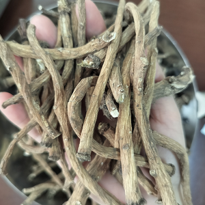 100% tự nhiên số lượng lớn khô Ashwagandha gốc nguyên Ấn Độ Nhân Sâm Thảo dược với giá tốt nhất - Product Image 2