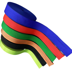 Color personalizado de calidad excepcional, 25mm, 38m, 50mm o correas de PE/PP de tamaño personalizado para bolsas, equipaje, zapatos y suministros para mascotas - Product Image 1