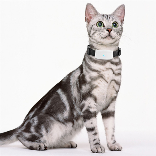 TK911 Mini Pet Tracker GPS Long Battery Life World's Smallest Mini Dog Cat Collar Tracker GPRS GSM