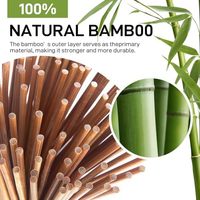 Brochettes de barbecue en bambou naturel, bâtonnets de kebab jetables en bois pour grillades, satay, cuisine en plein air, fêtes