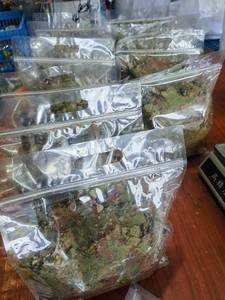 อาหารปลาแบบเกล็ดสามสี เหมาะสำหรับเพิ่มสีสันและส่<span class=keywords><strong>ง</strong></span>เสริมการเจริญเติบโตของปลาเขตร้อน - Product Image 6