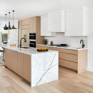 도매 래커 우드 멜라민 우드 베니어 주방 캐비닛 도어, 모든 종류의 생산 라인 주방 캐비닛 도어 - Product Image 2