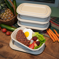 Nouvelle tendance en gros biodégradable canne à sucre bagasse boîte alimentaire carré jetable salade boîte à lunch