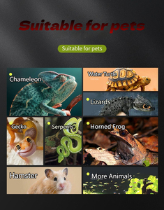 Terrarium pour reptiles entièrement transparent en verre ultra-blanc, design empilable, réservoir écologique d'élevage et d'ornement pour geckos et tortues - Product Image 5