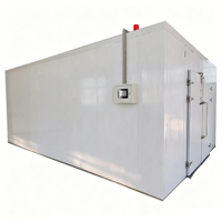 Industriële fruit- en groentedroger met PLC-besturing, 500kg-2000kg grotere capaciteit, mangodroogmachine, voedseldroger