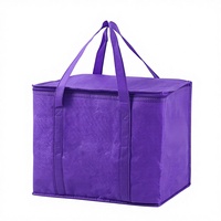 Sac isotherme non tissé avec doublure en aluminium, pliable et portable, pour repas à emporter, sac de conservation de la fraîcheur avec poche à glace, impression LOGO WF021