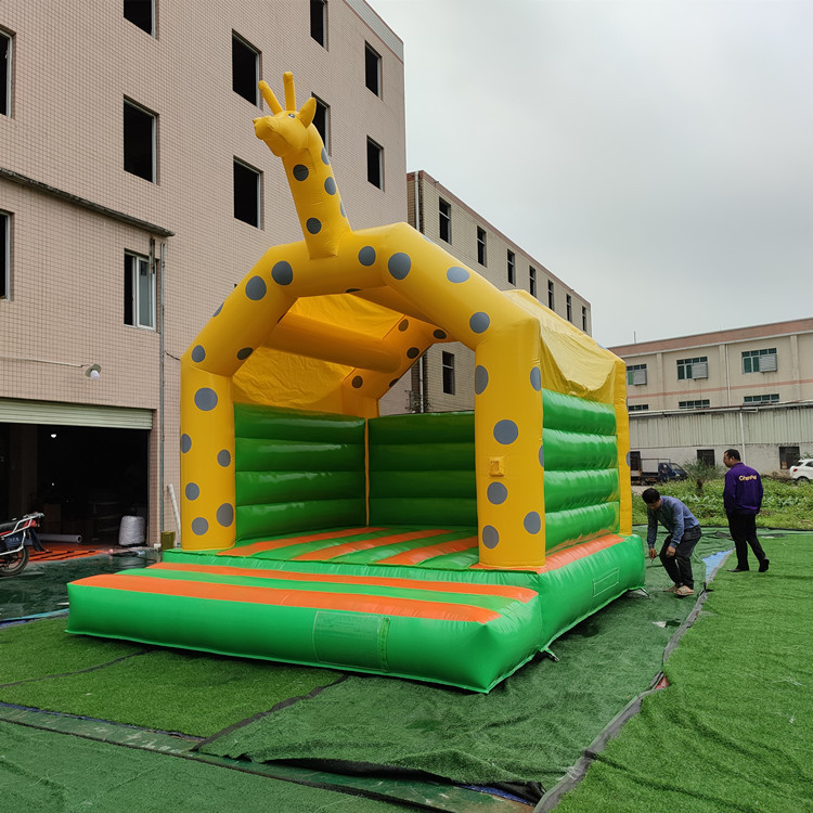 girafe 5x4