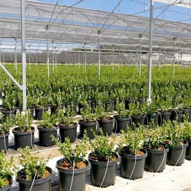 Pp Pvc 13 20 25 gallons de racines à croissance rapide en plastique pour plantes