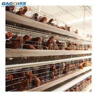 Système de cages en batterie de type H pour poules pondeuses, capacité 10 000 poulets, pour ferme avicole de 100 000 oiseaux