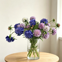 Vente en gros usine – Tige de Scabiosa artificielle effet naturel 72 cm, fleurs artificielles blanches, roses, violettes pour vase de maison, décoration florale de mariage