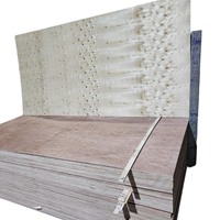 Tablero de Madera Contrachapada Okoume Premium, Panel de Madera Ligero, Duradero y Ecológico para Muebles, Interiores Marinos, Logotipo Personalizado