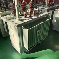 Transformador trifásico de topología flyback inmerso en aceite, de baja pérdida, estructura sellada, bobina de cobre, adaptación para renovación de redes, suministro inmediato.
