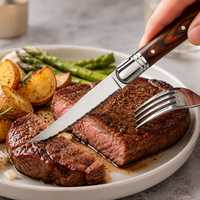 Ensemble de 6 couteaux à steak Laguiole, lame en acier inoxydable dentelée, manche en bois de Pakka, couteau de bistrot français pour restaurant