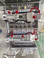 Máquina automática de envasado de ketchup de sellado de cuatro lados Mutli Lines para envasar jugos, champús, vinagre y aceite de Chile, etc.