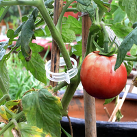100 pièces/sac Clips de jardinage pour plantes, pour une croissance verticale, favorisent la santé des plantes, support pour tomates