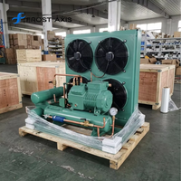 Unité de condensation semi-hermétique refroidie par air 220V/380V 10KW/H pour compresseur, pour chambre froide de réfrigération industrielle