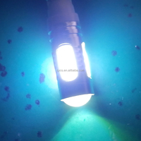Pièces et accessoires automobiles, éclairage automobile, ampoule LED T10 7,5W COB pour voiture, blanc, 194/186, sans erreur Canbus, rénovation/mise à niveau