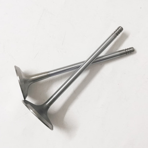 55194219 55200334 55219143 55200335 55200422 soupape d'échappement d'entrée pour <span class=keywords><strong>Fiat</strong></span> 55219144 <span class=keywords><strong>GRANDE</strong></span> <span class=keywords><strong>PUNTO</strong></span> 500 1.4 A4.000 169 A4.000 - Product Image 5