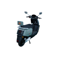 Trottinette électrique à grande vitesse 60 V 1000 W Batterie au plomb-acide Trottinette électrique à deux roues pour adultes