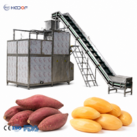 Professionele industriële stoomschilmachine met PLC-touchscreen, eenvoudig te bedienen, voor aardappelen en wortelen.