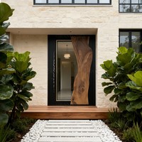 Porte pivotante extérieure contemporaine pour villa 72x96, portes doubles pivotantes extérieures, portes d'entrée